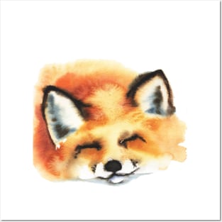 Portrait of a sleeping cute fox Posters and Art